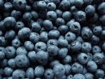 Superfood blueberries